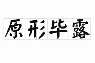 原形毕露的意思、造句、反义词