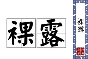 裸露的意思、造句、反义词