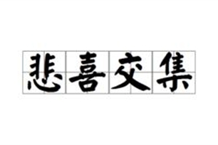 悲喜交集的意思、造句、反义词