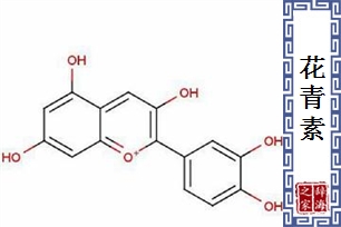 花青素