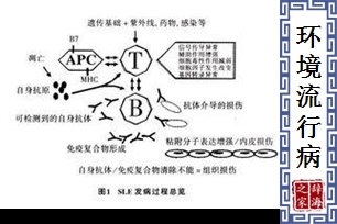 环境流行病学