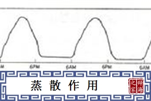 蒸散作用