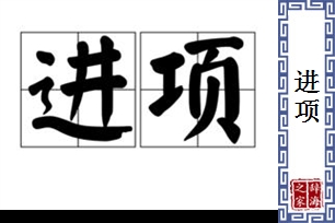 进项的意思、造句、反义词