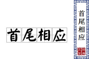 首尾相应的意思、造句、反义词