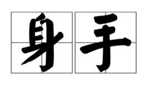 身手的意思、造句、近义词