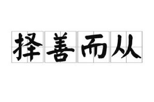 择善而从的意思、造句、反义词