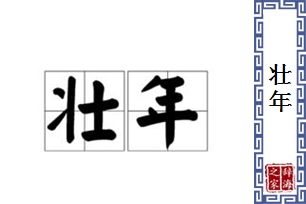 壮年的意思、造句、近义词