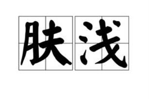 肤浅的意思、造句、近义词