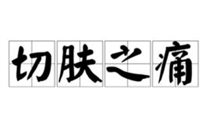 切肤之痛的意思、造句、近义词