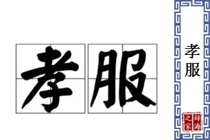 孝服的意思、造句、反义词