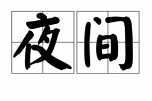 夜间的意思、造句、反义词