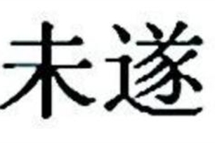 未遂的意思、造句、反义词