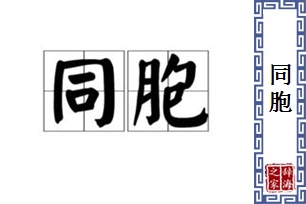 同胞的意思、造句、反义词