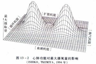 总需氧量