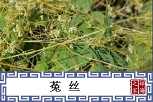 菟丝