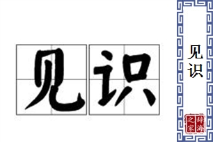 见识的意思、造句、近义词