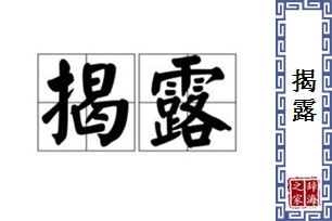 揭露的意思、造句、近义词