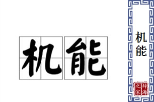 机能的意思、造句、近义词