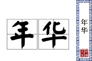 年华的意思、造句、近义词