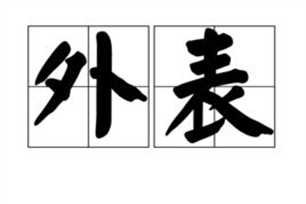 外表的意思、造句、反义词