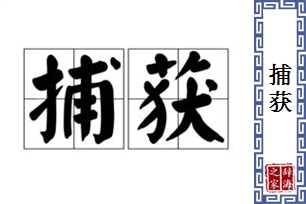 捕获的意思、造句、近义词