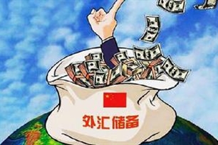 外汇储备