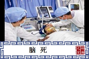 脑死