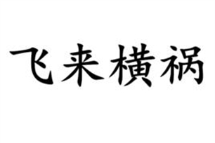 飞来横祸