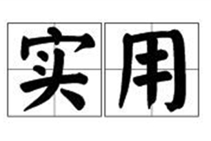 实用的意思、造句、近义词