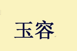 玉容的意思、造句、近义词