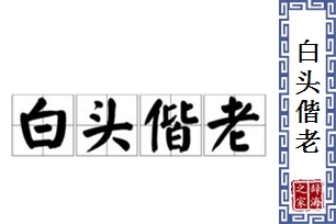 白头偕老的意思、造句、反义词