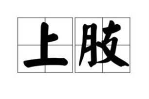 上肢的意思、造句、反义词