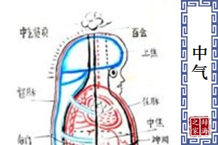 中气