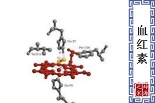 血红素