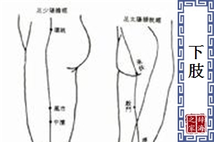 下肢的意思、造句、反义词