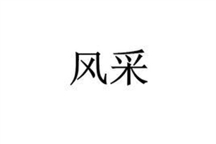 风采的意思、造句、近义词