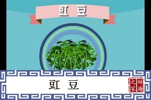 豇豆