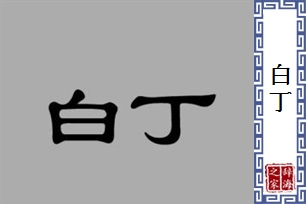 白丁的意思、造句、反义词