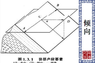 倾向