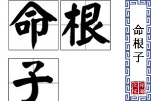 命根子的意思、造句、近义词