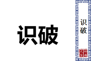 识破的意思、造句、近义词