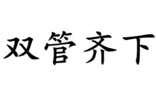 双管齐下的意思、造句、反义词