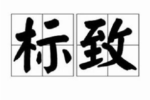 标致的意思、造句、反义词