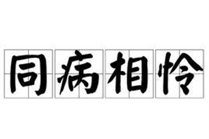 同病相怜的意思、造句、近义词