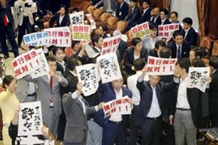 在野党的意思、造句、反义词