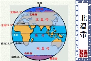 北温带的意思、造句、反义词