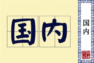 国内的意思、造句、反义词