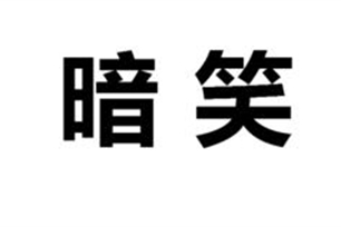 暗笑的意思、造句、近义词