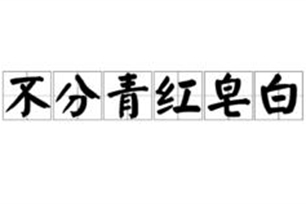 不分青红皂白的意思、造句、反义词