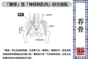 荐骨